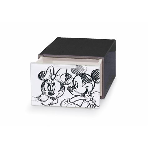 cajonera-de-plastico-mickeyminnie-15-5x21x10-5cm.jpg